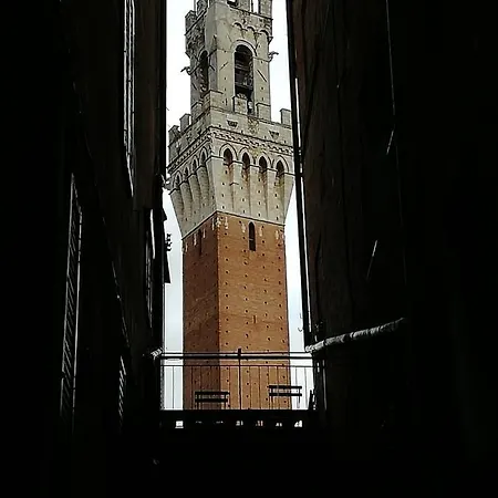 Ristrutturato A 50 Metri Da Piazza Del Campo Апартаменты *